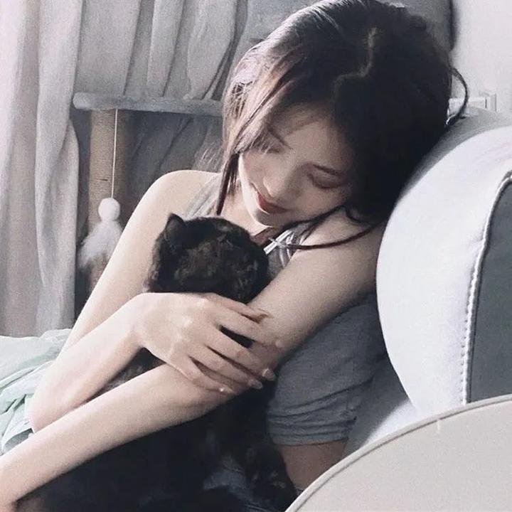 精灵高中