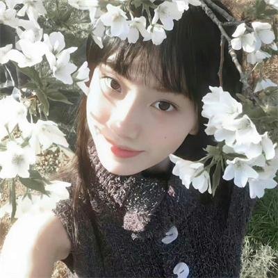 狂蜂过境