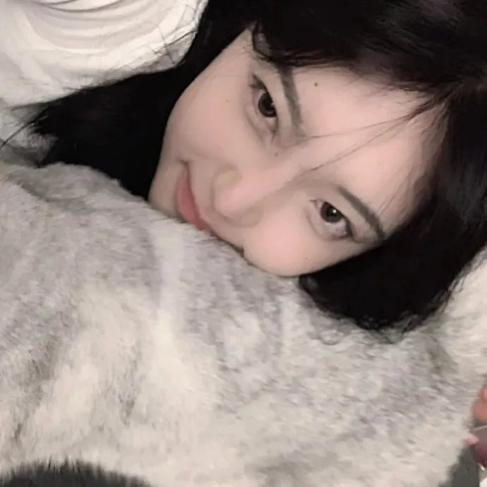迪莱哈